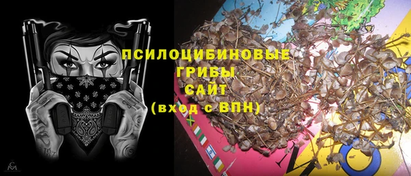 индика Верхнеуральск
