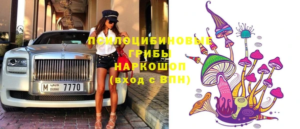 индика Верхнеуральск